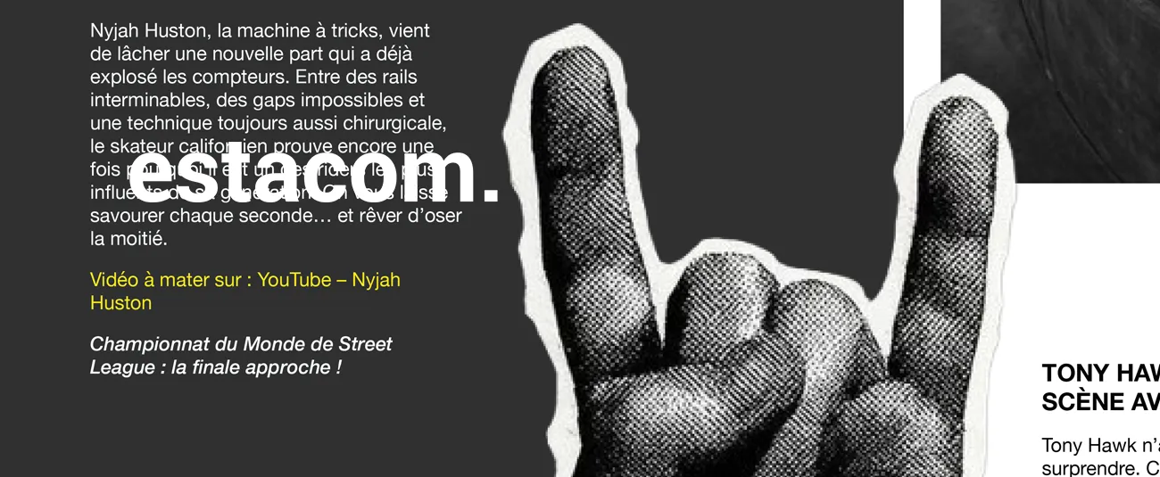 Bachelor 23-26 magazine skate